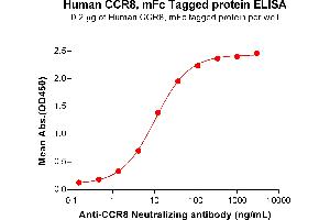 Chemokine (C-C Motif) Receptor 8 (CCR8) (AA 1-35) protein (mFc Tag)
