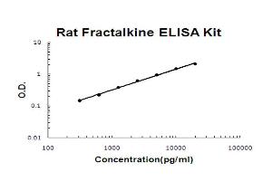 Rat Fractalkine Accusignal ELISA Kit Rat Fractalkine AccuSignal ELISA Kit standard curve. (CX3CL1 ELISA Kit)