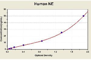 Diagramm of the ELISA kit to detect Human NEwith the optical density on the x-axis and the concentration on the y-axis. (ELANE ELISA Kit)