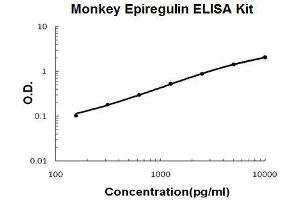 Monkey Primate Epiregulin PicoKine ELISA Kit standard curve (Epiregulin ELISA Kit)