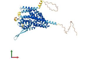 AlphaFold protein structure predicition of Mouse Recombinant Slc1a4 Protein, UniprotID O35874 (SLC1A4 Protein (AA 1-532) (His tag))