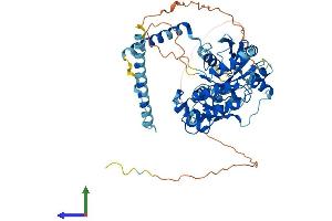 Protein Structure (PS) image for Guanine Nucleotide Binding Protein-Like 3 (Nucleolar) (GNL3) (AA 1-549) protein (His tag) (ABIN7548019)