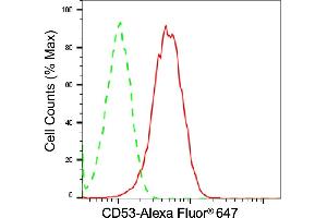 anti-CD53 (CD53) antibody