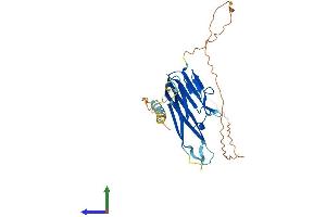 Protein Structure (PS) image for Lymphotoxin beta (TNF Superfamily, Member 3) (LTB) (AA 1-306) protein (His tag) (ABIN7563224)
