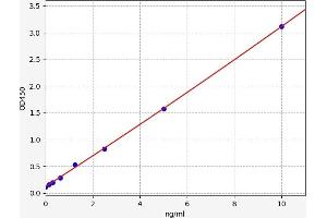 ARNT2 ELISA Kit