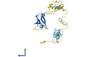 AlphaFold protein structure predicition of Human Recombinant PDLIM3 Protein, UniprotID Q53GG5 (PDLIM3 Protein (AA 1-364) (His tag))