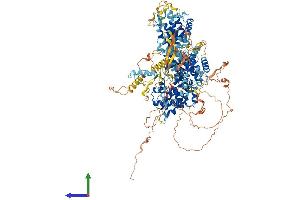 Protein Structure (PS) image for Retinoblastoma-Like 2 (p130) (RBL2) (AA 1-1139) protein (His tag) (ABIN7555158)