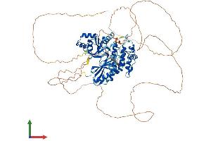 AlphaFold protein structure predicition of Human Recombinant MARK1 Protein, UniprotID Q9P0L2