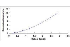 Sestrin 1 (SESN1) ELISA Kit