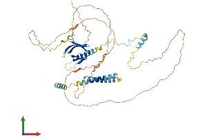 AlphaFold protein structure predicition of Human Recombinant PLEKHO2 Protein, UniprotID Q8TD55