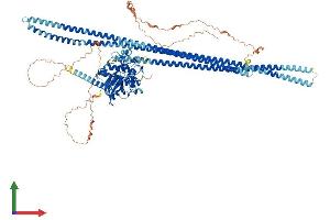AlphaFold protein structure predicition of Mouse Recombinant Taok1 Protein, UniprotID Q5F2E8 (TAO Kinase 1 (TAOK1) (AA 1-1001) protein (His tag))