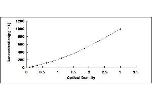 Typical standard curve (VEGFR2/CD309 ELISA Kit)