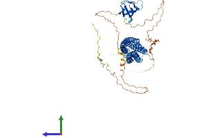 Protein Structure (PS) image for BAI1-Associated Protein 2-Like-1 (BAIAP2L1) (AA 1-511) protein (His tag) (ABIN7552586)