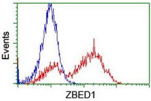Image no. 2 for anti-Zinc Finger, BED-Type Containing 1 (ZBED1) antibody (ABIN1501796) (ZBED1 antibody)