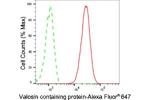 Flow cytometric analysis of Valosin containing protein expression in C2C12 cells using Valosin containing protein antibody (ABIN7800818), 1:2,000). (Recombinant VCP antibody)