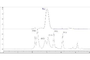 The purity of Human PD-L2, Fc Tag (HPLC verified) (ABIN2181601,ABIN2749238) was greater than 90 % as determined by .