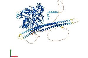 Protein Structure (PS) image for phospholipase C, beta 1 (phosphoinositide-Specific) (PLCB1) (AA 1-1216) protein (His tag) (ABIN7554993)