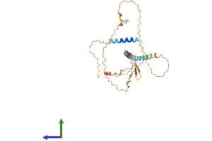 AlphaFold protein structure predicition of Mouse Recombinant Spem1 Protein, UniprotID Q5F289 (SPEM1 Protein (AA 1-310) (His tag))