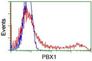 Flow Cytometry (FACS) image for anti-Pre-B-Cell Leukemia Homeobox Protein 1 (PBX1) antibody (ABIN1500045) (PBX1 antibody)