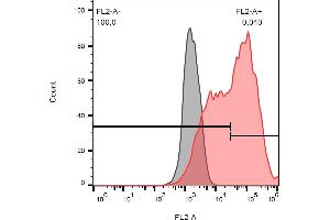 Separation of cells stained using anti-human 263 (TRAIL-R3-02) PE antibody (concentration in sample 5 μg/mL, red) from cells stained using mouse IgG1 isotype control (MOPC-21) PE antibody (concentration in sample 5 μg/mL, grey) in flow cytometry analysis (surface staining) of CD263 transfected HEK-293 cell suspension. (DcR1 antibody  (PE))