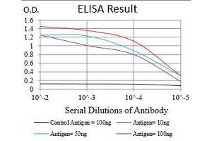 Black line: Control Antigen (100 ng), Purple line: Antigen(10 ng), Blue line: Antigen (50 ng), Red line: Antigen (100 ng), (TUBE1 antibody  (AA 314-472))