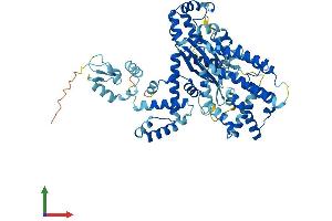 Protein Structure (PS) image for EPM2A (Laforin) Interacting Protein 1 (EPM2AIP1) (AA 1-606) protein (His tag) (ABIN7559910)