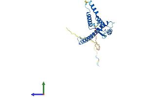 AlphaFold protein structure predicition of Human Recombinant TMA16 Protein, UniprotID Q96EY4 (C4orf43 Protein (AA 1-203) (His tag))