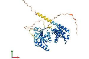 Protein Structure (PS) image for Ras-Related GTP Binding D (RRAGD) (AA 1-400) protein (His tag) (ABIN7551528)