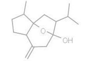 Curcumol (Curcumol)
