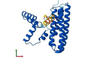 AlphaFold protein structure predicition of Human Recombinant PDCD10 Protein, UniprotID Q9BUL8 (PDCD10 Protein (AA 1-212) (His tag))