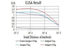 Black line: Control Antigen (100 ng),Purple line: Antigen (10 ng), Blue line: Antigen (50 ng), Red line:Antigen (100 ng) (CD1b antibody  (AA 18-303))