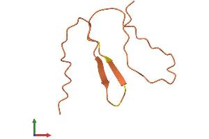 AlphaFold protein structure predicition of Human Recombinant DHRS4-AS1 Protein, UniprotID Q9P1J3