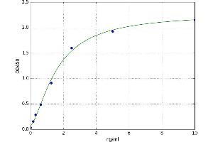 Deoxyribonuclease I (DNASE1) ELISA Kit