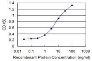 Detection limit for recombinant GST tagged CILP is 0. (CILP antibody  (AA 129-226))