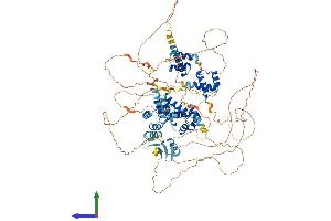 AlphaFold protein structure predicition of Human Recombinant ZHX3 Protein, UniprotID Q9H4I2