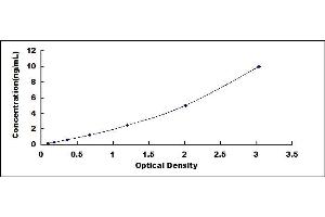 Typical standard curve (MGMT ELISA Kit)