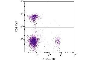 BALB/c mouse splenocytes were stained with Rat Anti-Mouse CD4-CY5 and Rat Anti-Mouse CD8α-FITC. (CD4 antibody  (Cy5))