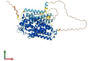 AlphaFold protein structure predicition of Mouse Recombinant Slc5a11 Protein, UniprotID Q8K0E3