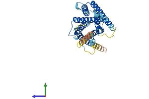 AlphaFold protein structure predicition of Human Recombinant MRGPRE Protein, UniprotID Q86SM8 (MRGPRE Protein (AA 1-312) (His tag))
