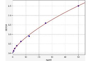 Typical standard curve (PRKCSH ELISA Kit)