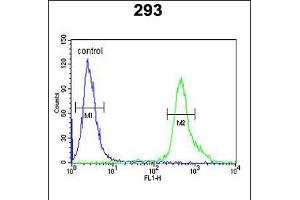 Flow cytometric analysis of 293 cells (right histogram) compared to a negative control cell (left histogram). (Tumor Protein p73 antibody  (AA 288-317))