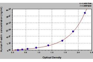 Typical Standard Curve (F-Actin ELISA Kit)