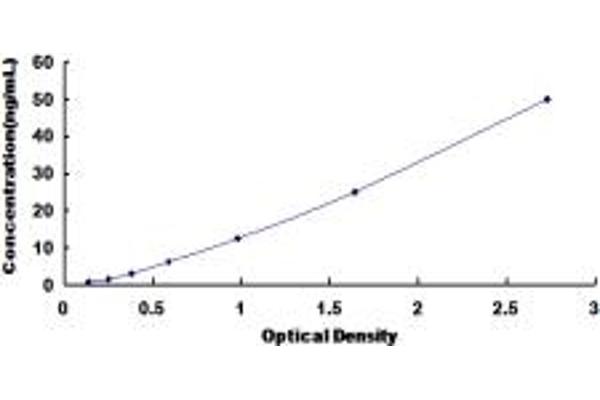 CHST9 ELISA Kit