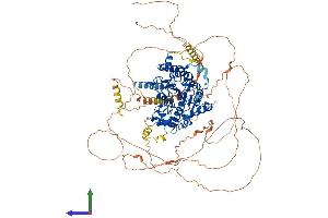 AlphaFold protein structure predicition of Mouse Recombinant Hdac7 Protein, UniprotID Q8C2B3