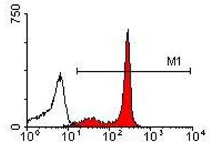 Image no. 1 for anti-CD44 (CD44) antibody (FITC) (ABIN135066) (CD44 antibody  (FITC))