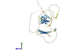 AlphaFold protein structure predicition of Mouse Recombinant Plekho2 Protein, UniprotID Q8K124 (PLEKHO2 Protein (AA 1-495) (His tag))