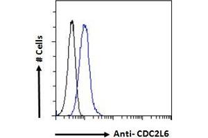 ABIN570894 Flow cytometric analysis of paraformaldehyde fixed HeLa cells (blue line), permeabilized with 0. (CDK19 antibody  (C-Term))
