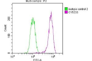 Overlay histogram showing Hela cells stained with ABIN7127616 (red line) at 1:50. (Recombinant c-MET antibody)