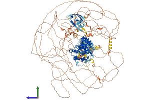 AlphaFold protein structure predicition of Mouse Recombinant Arhgap23 Protein, UniprotID Q69ZH9