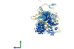 AlphaFold protein structure predicition of Mouse Recombinant Dhx34 Protein, UniprotID Q9DBV3
